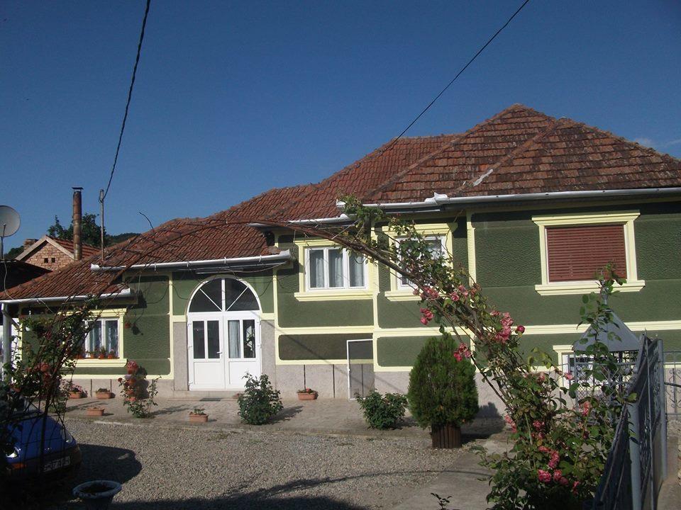 Casa Ana Apartment Hateg Exterior photo