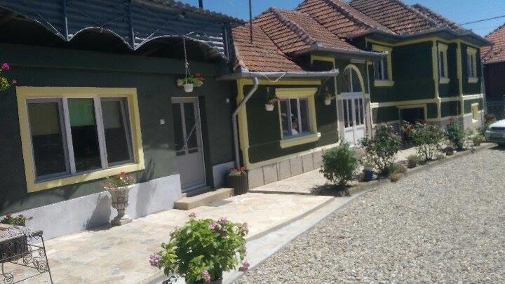 Casa Ana Apartment Hateg Exterior photo